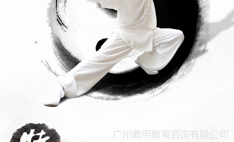 初级到高级 陈氏陈式太极拳教学视频教程