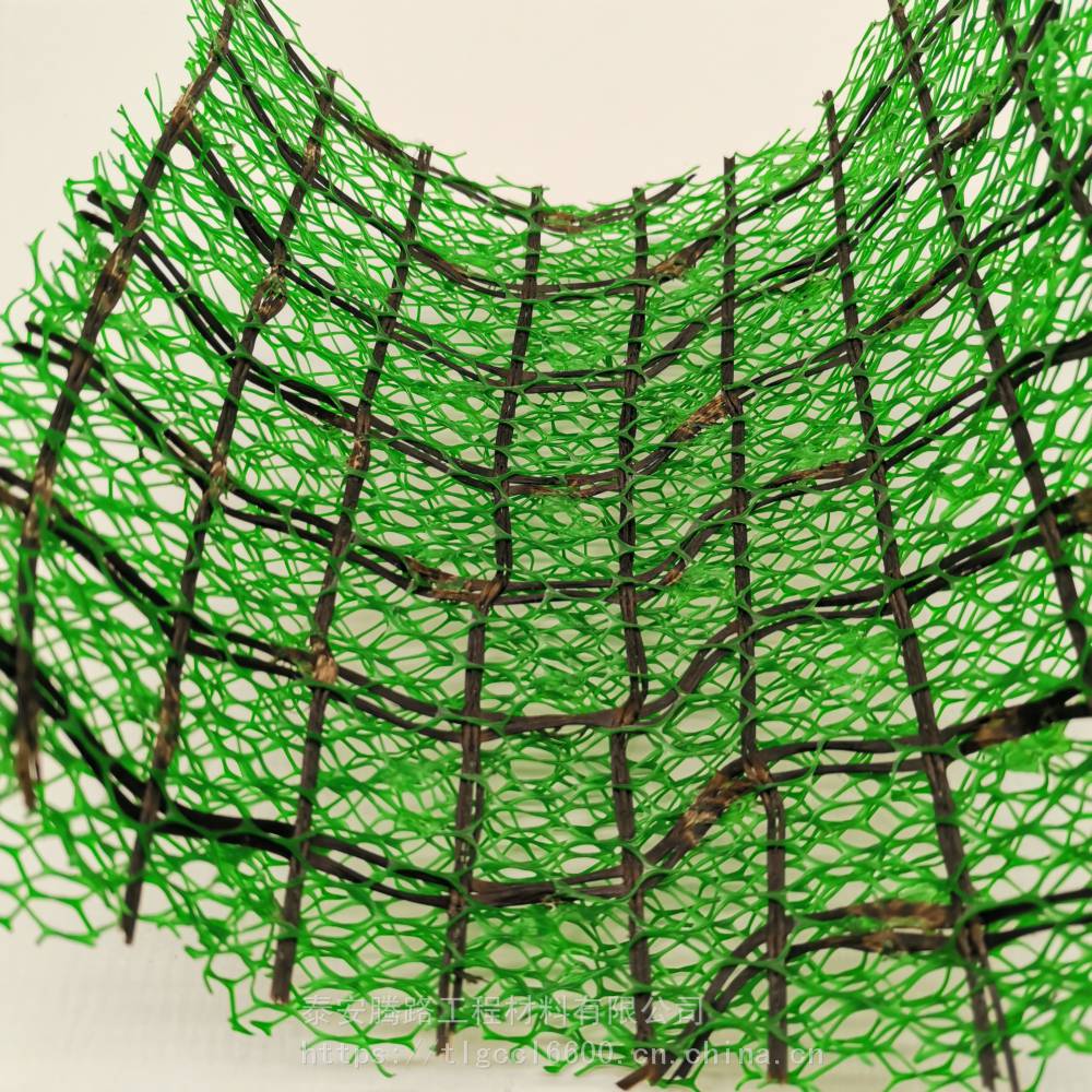 环保三维植被网 植被网护坡施工流程 泰安土工网厂家
