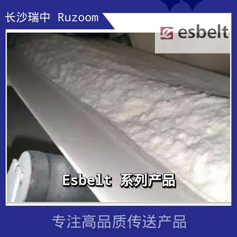 ESBELTforsugarFEBOR21CC41CC61CC白糖同步传动输送平皮带