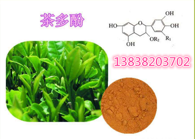 廠家直銷 優質產品【茶多酚】含量食品級,原料