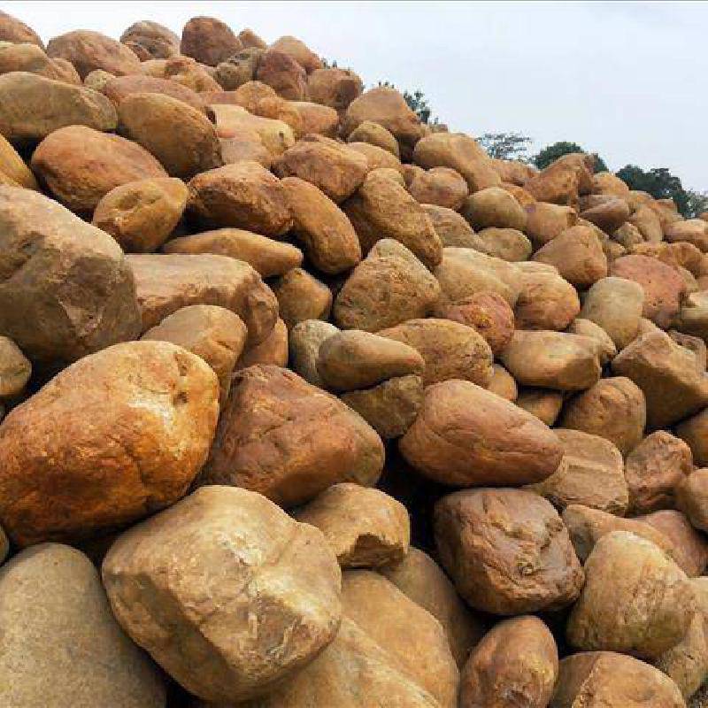 批發(fā)大量黃蠟小原石公園風(fēng)景石精品草坪溪流石