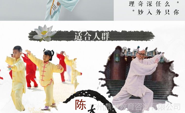 初级到高级 陈氏陈式太极拳教学视频教程