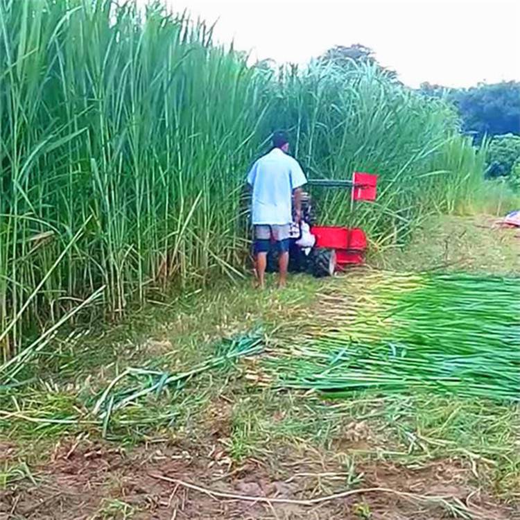 小型高丹草收割机玉米秸秆割晒机手推柴油割草机