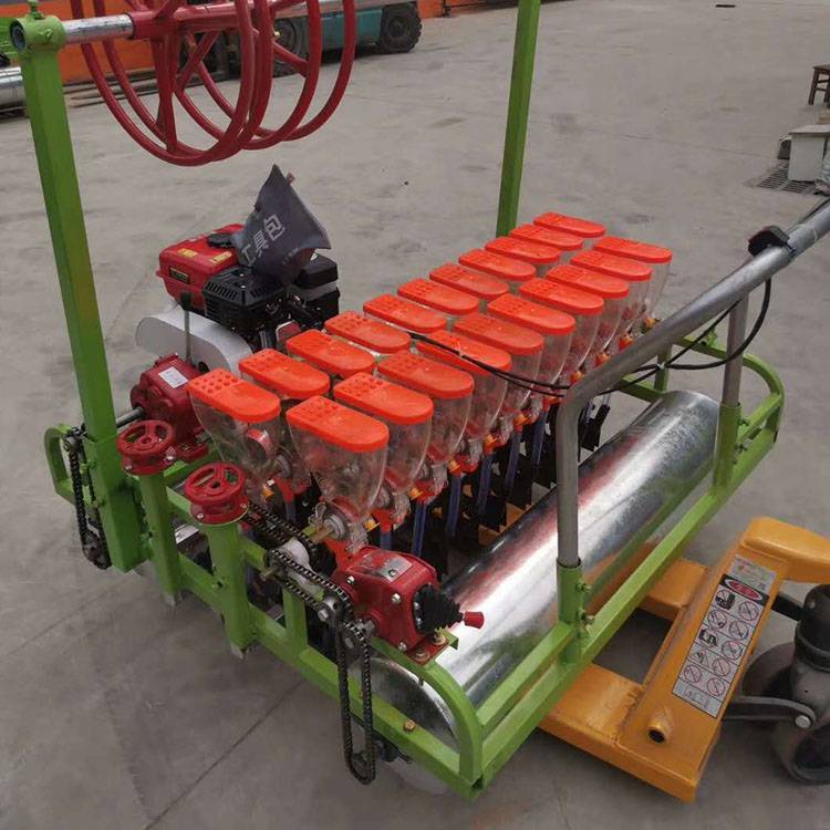 小型手推电动芹菜播种机 瑞鑫多功能蔬菜精密播种机 农用精播机厂家