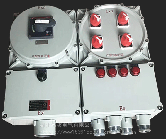 浙江 不锈钢防爆接线箱 BXM-D8050防爆配电箱 非标可定做