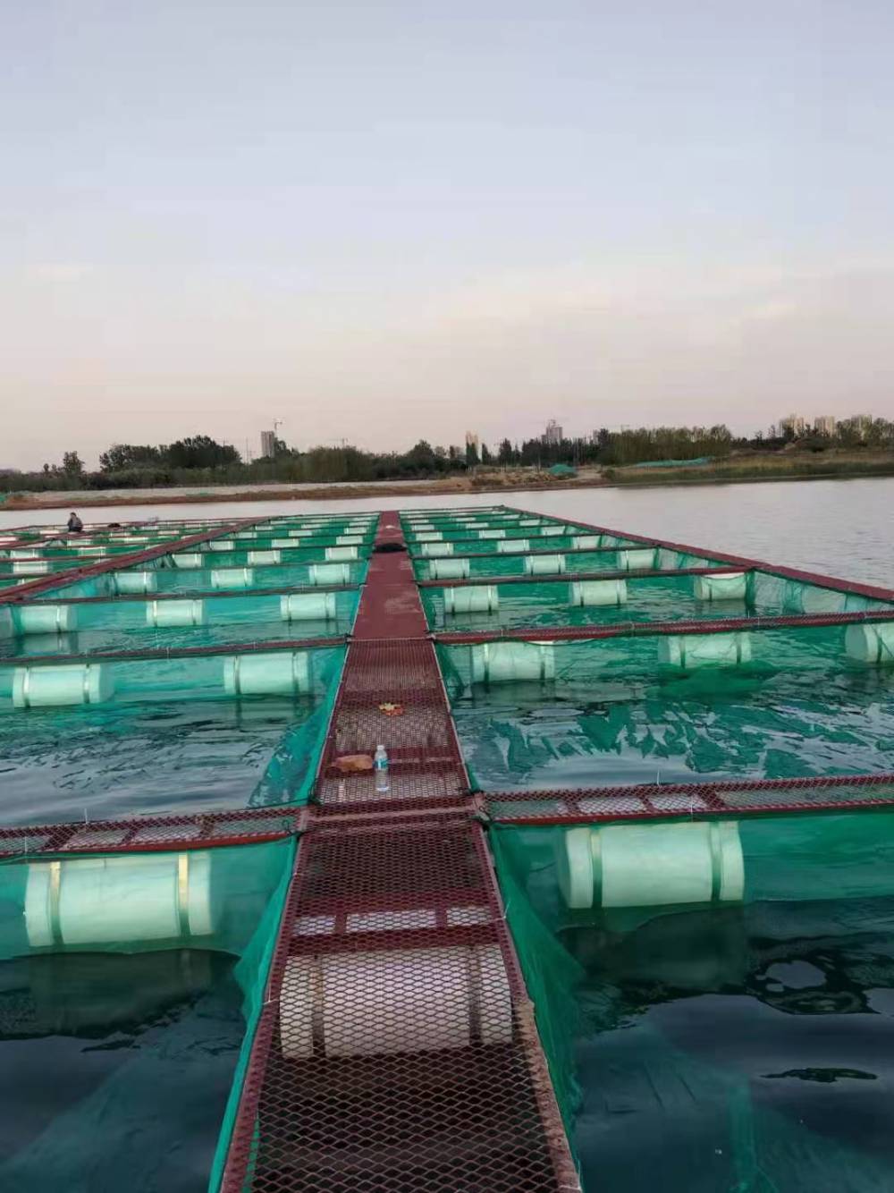 方形钢架养鱼网箱6米x6米养鱼设备养殖箱批发