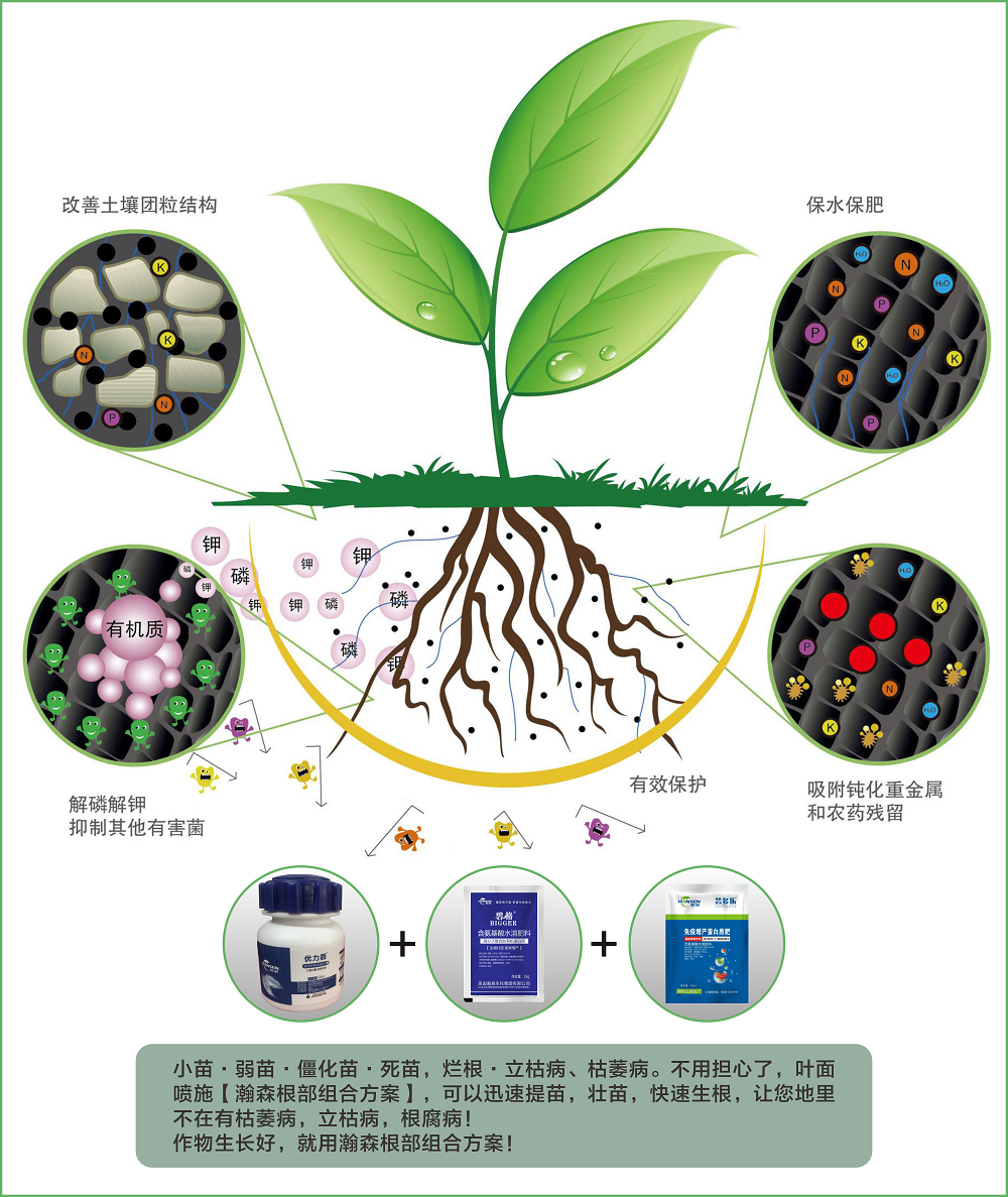 作物根部组合方案叶面肥套餐预防根部病害生根壮苗