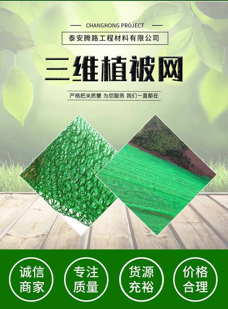 大量批发三维植被网护坡工程用三维土工网垫
