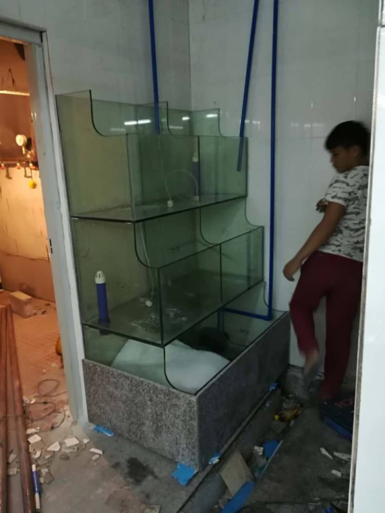 广州南沙海鲜池弧形玻璃鱼池广州餐厅海鲜池