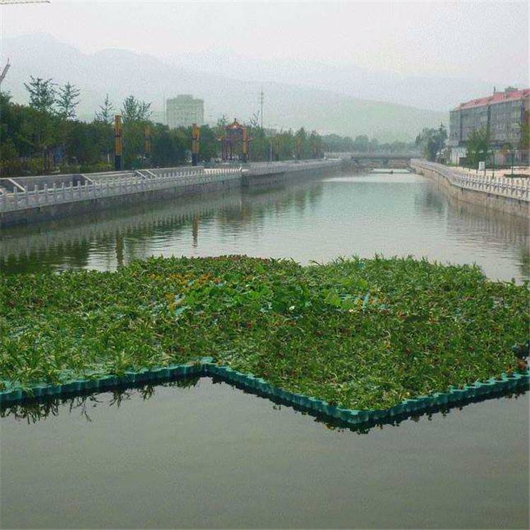 承接各种水生植物河道绿化沉水植物生态浮岛景观绿化工程