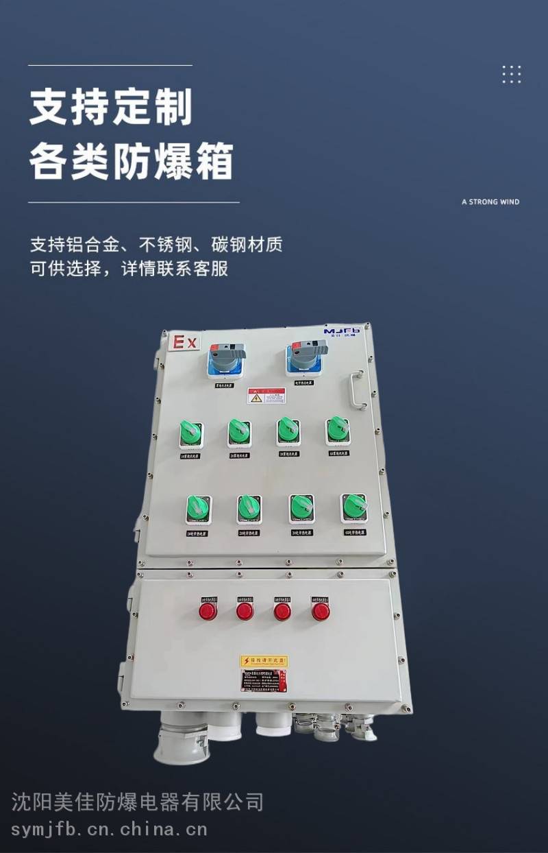 广西 防爆配电箱IIC不锈钢柜操作台接线plc仪表箱成套