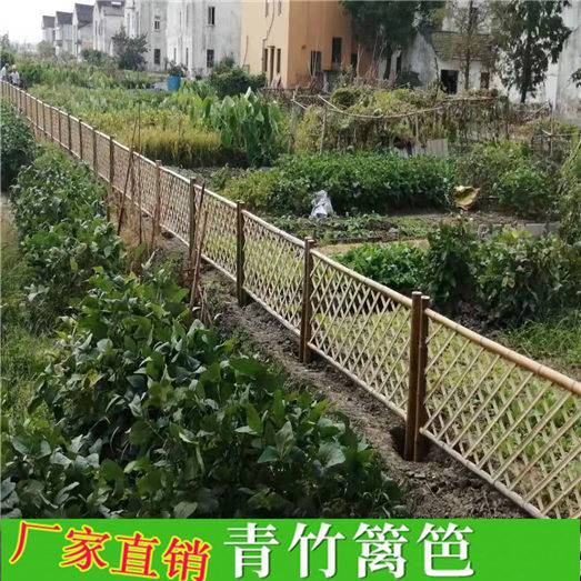 广东 购买竹篱笆 竹篱笆 价格优惠