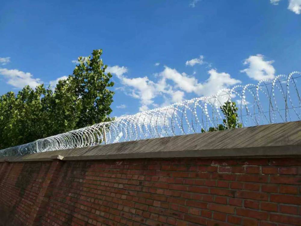 辽宁多措并重推动“老旧小木”渔船整改