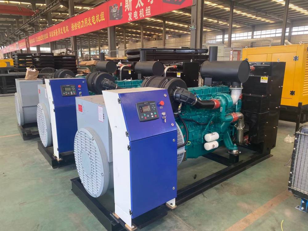 2025年最佳英雄联盟投注网站供应1kw家用小型发电机价格便携式家用发电机