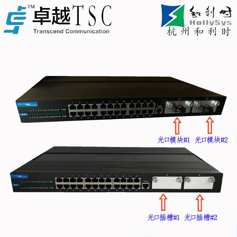 杭州和利时GM010-ISW-24L-C01-A01网管级Carat20B-24TX卓越DCS系统
