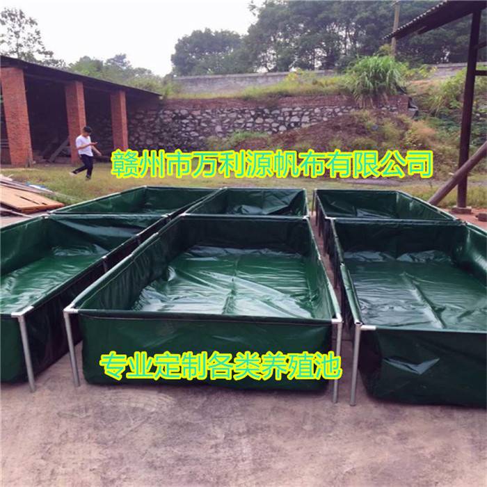 湖南养殖小龙虾 水池养殖龙虾 室内养殖小龙虾帆布池