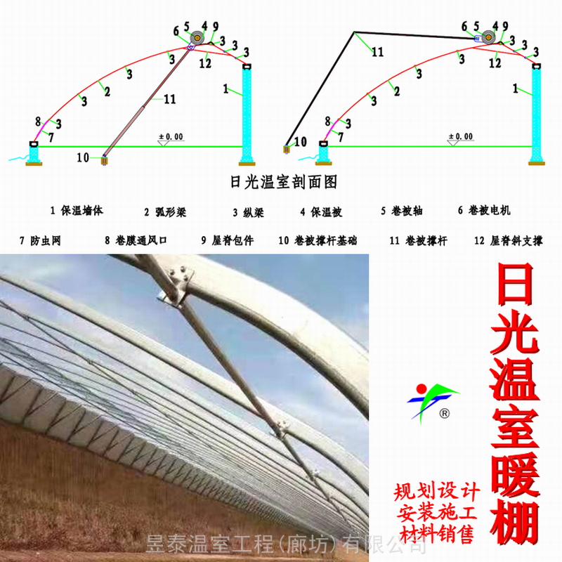 日光温室无后墙暖棚蔬菜种植温室大棚昱泰设计建造