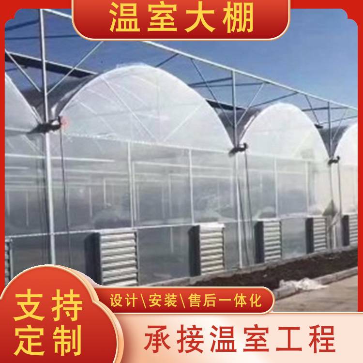 惠州惠阳拱形温室配件建设草莓大棚中科ZKHY-01