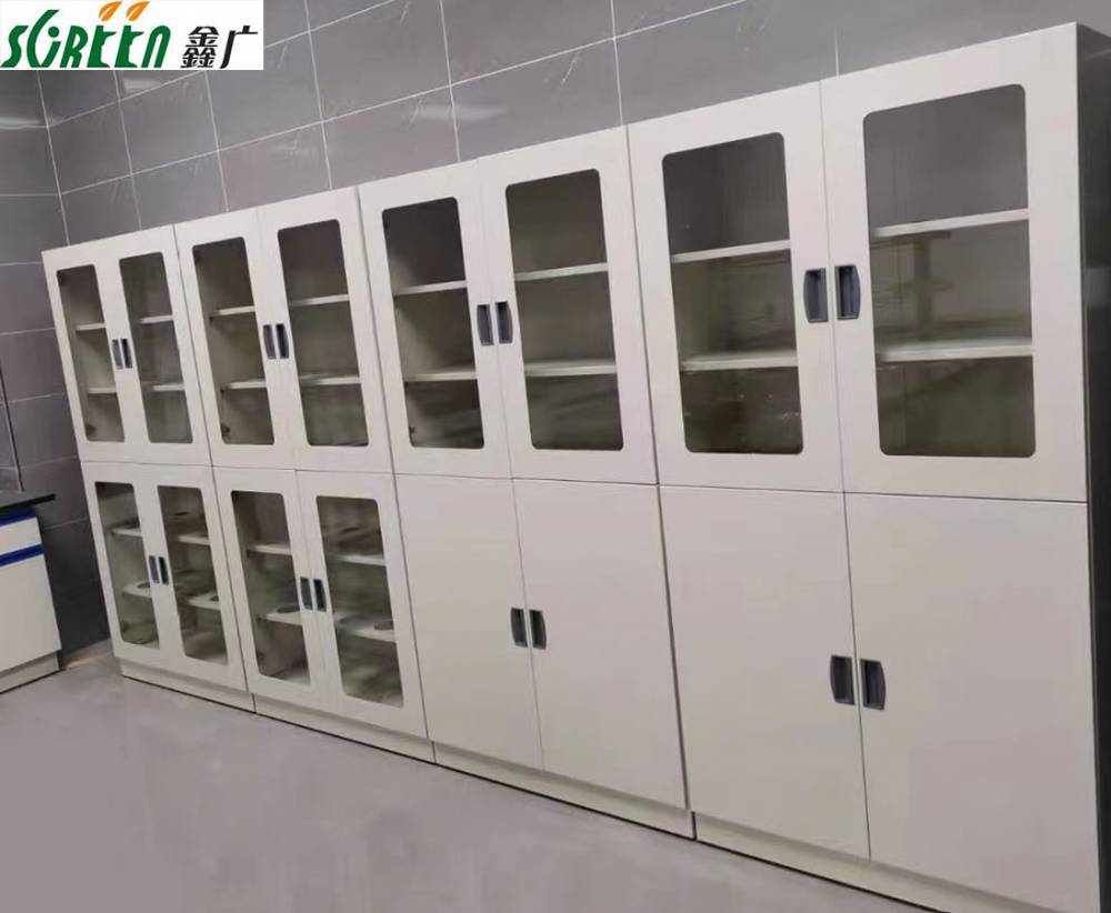 山东实验室药品柜 实验室存储柜 药品柜 存放柜