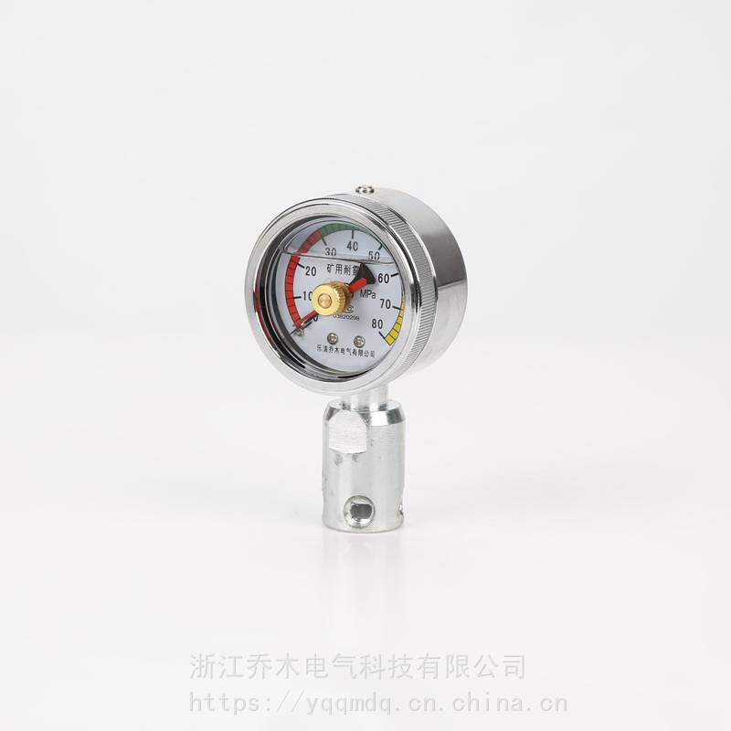 乔木电气双针耐震压力表YLB10/0-60MPa/KJ10母接头