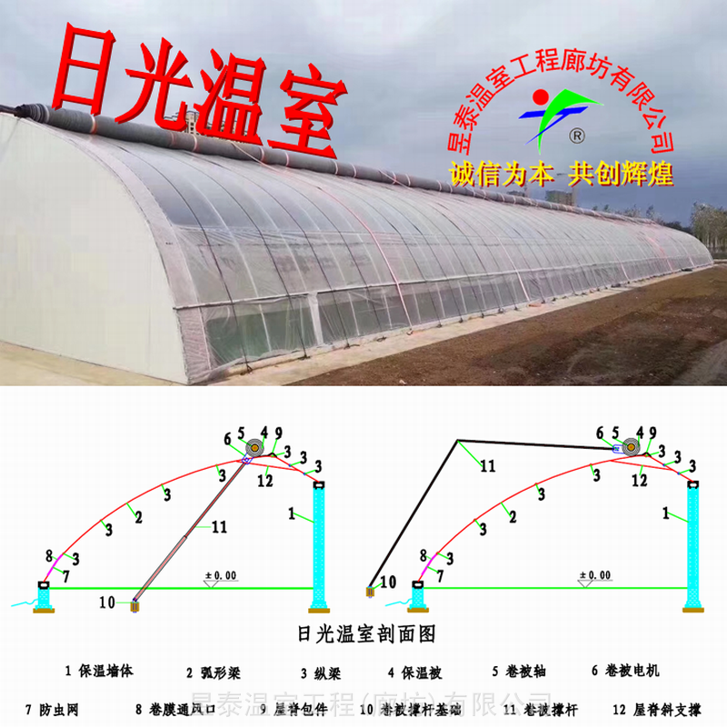 温室大棚日光大棚蔬菜薄膜大棚昱泰温室