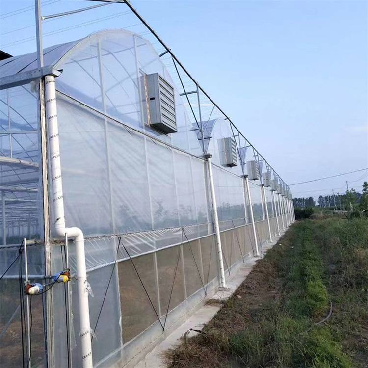 清远佛冈连栋蔬菜大棚智能温室中科建设鱼菜共生隔热保温ZKLZ-01