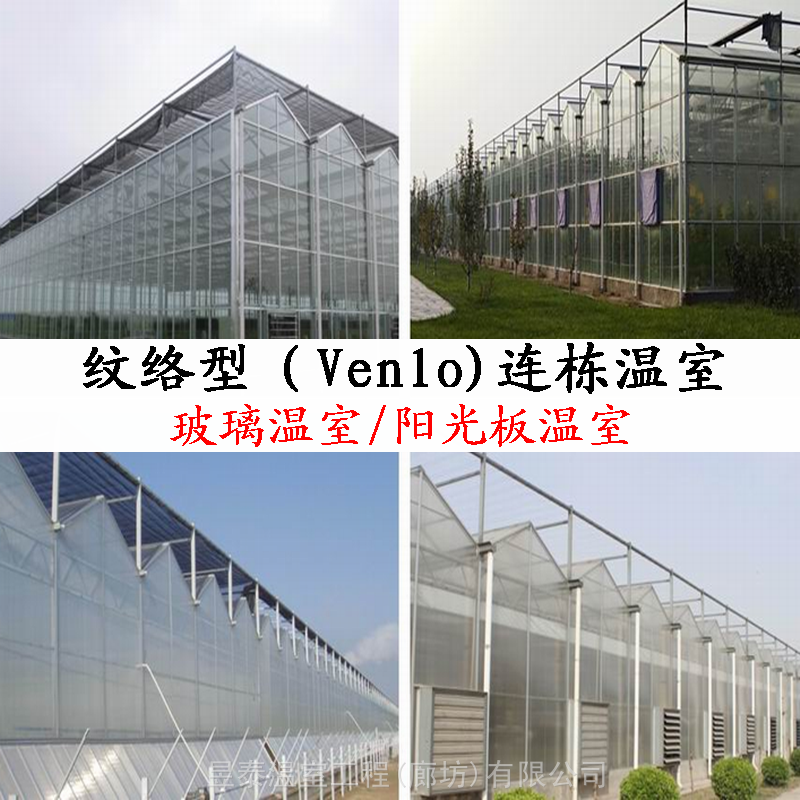 纹络型连栋温室玻璃智能阳光板大棚YTWSWL0010