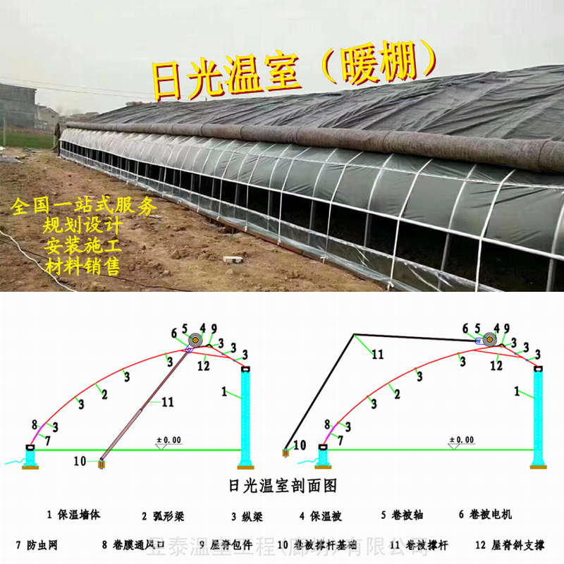 日光大棚薄膜温室大棚蔬菜大棚几字钢暖棚昱泰温室公司设计建造