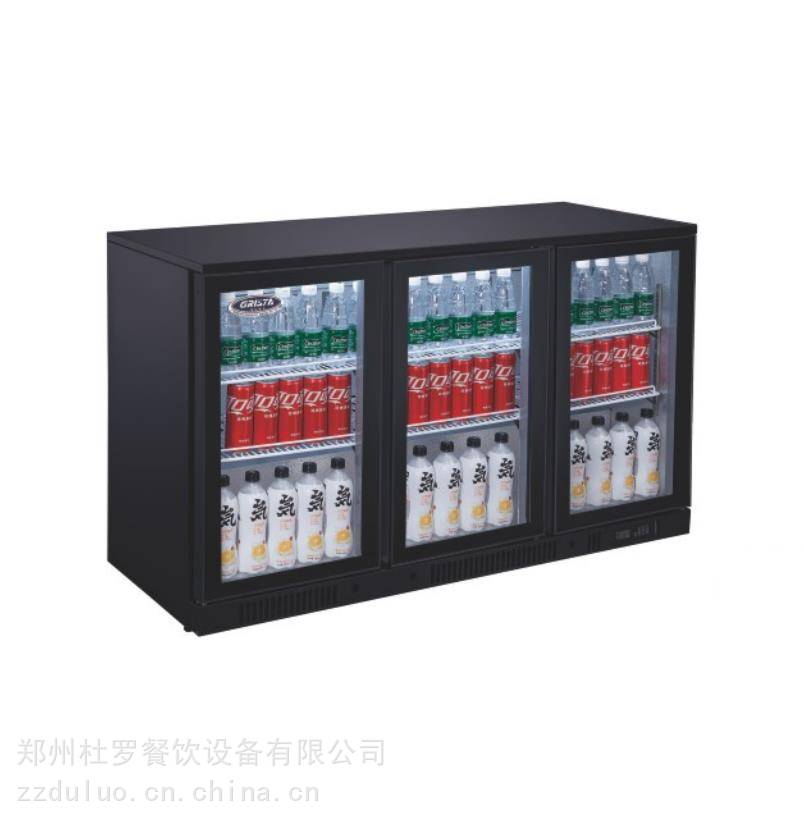 广东星星商用冷藏柜 小型带灯光小冰吧 格林斯达SGD310饮料展示柜
