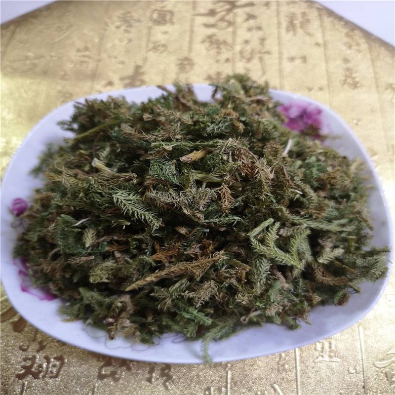 伸筋草的功效与作用和主治(伸筋草的功效与作用中药大全)