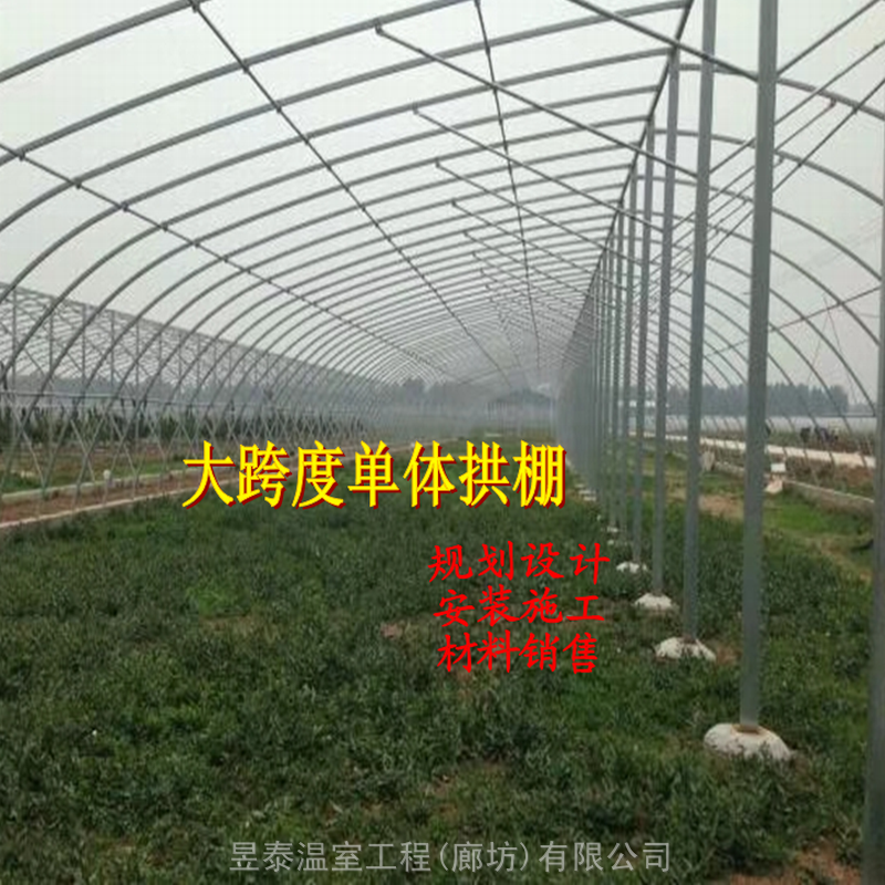 薄膜蔬菜温室大棚单体拱棚暖棚冷棚昱泰温室工程公司设计建造