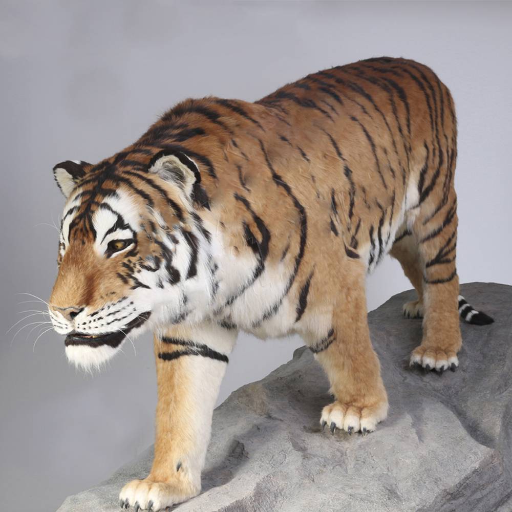 仿真老虎,仿真动物模型,老虎模型