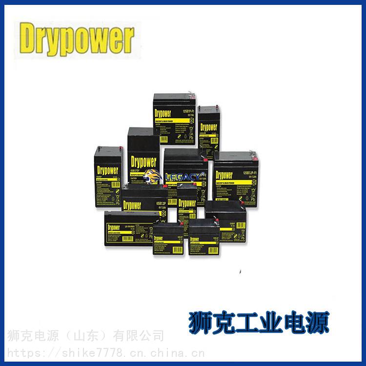 美国Drypower蓄电池12SB65CL免维护12V65AH应急贮电系统