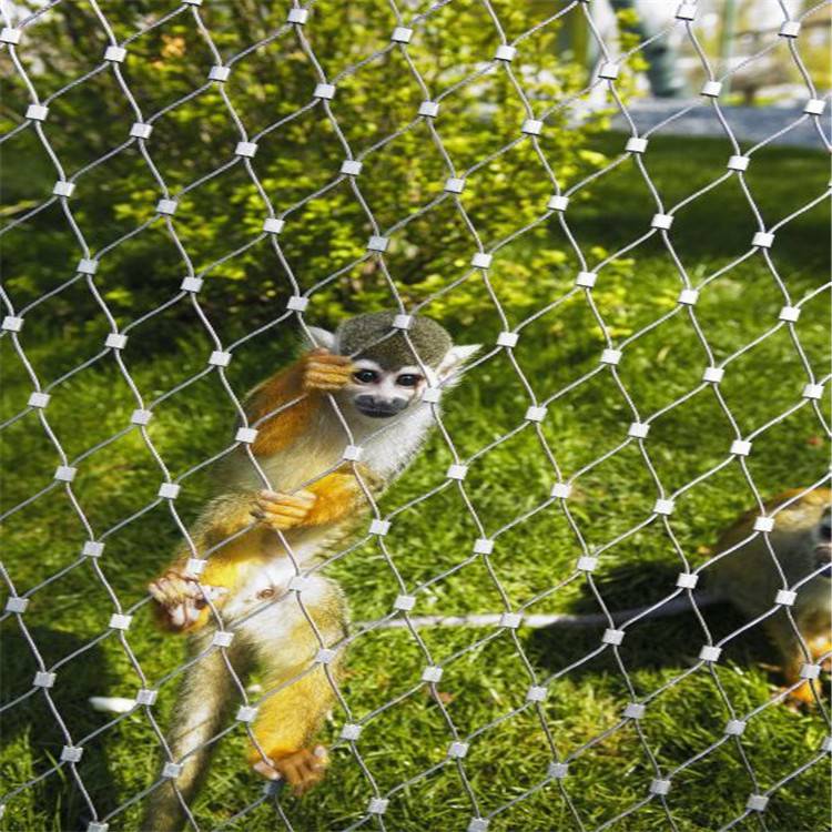 【动物园围栏网 圈狮子老虎用的网 圈动物的柔性网】图片