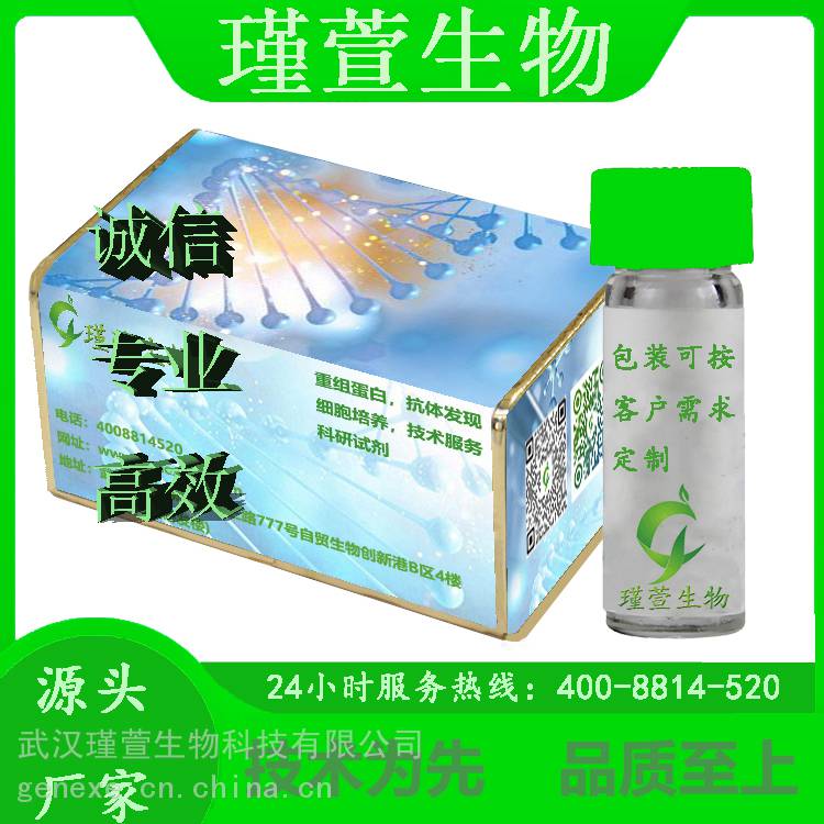 重组蛋白鼠源IL-1RaRecombinantProtein