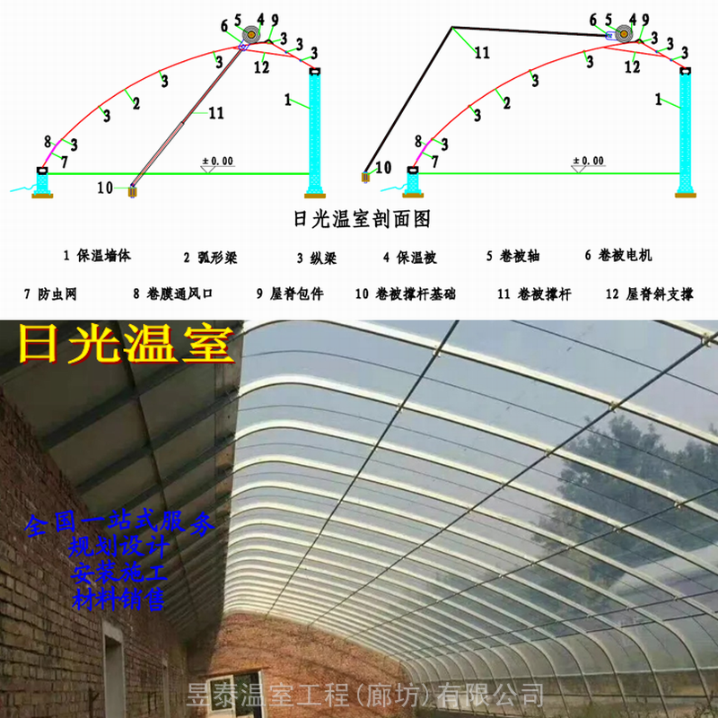 日光温室大棚椭圆管大棚薄膜棉被大棚蔬菜育苗大棚昱泰温室