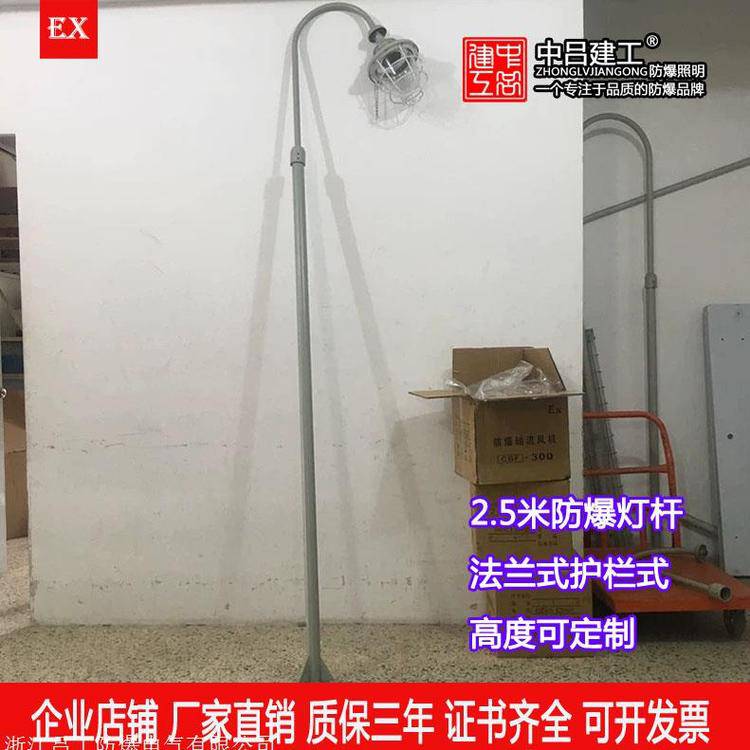护栏灯杆2.5米 防爆平台灯安装灯杆 法兰式2.5米灯杆