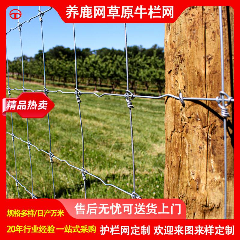 固定结网养牛网养鹿网锌钢护栏网荷兰网出口品质