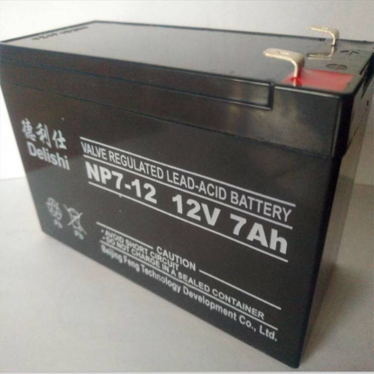 德利仕蓄电池NP250-1212V250AH大容量深循环高功率