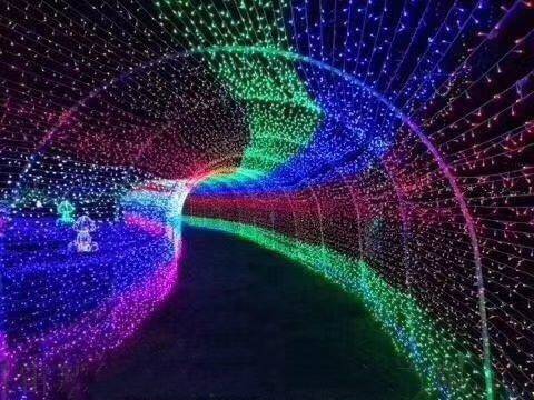 安庆 双面发光灯杆造型灯 灯光节造型灯 厂家设计