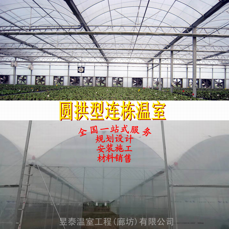 圆拱形弧形薄膜连栋温室大棚蔬菜种植大棚设计建造厂家