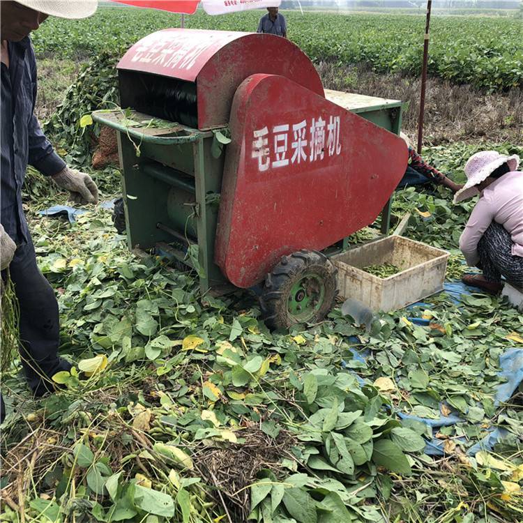 移動式大豆收莢機青豆莢全新採摘機浩發