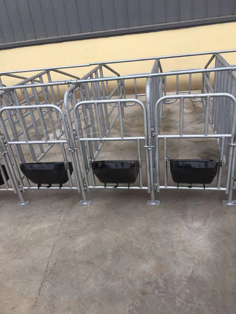 母猪定位栏 猪用限位栏10猪位保育栏 厂家直销
