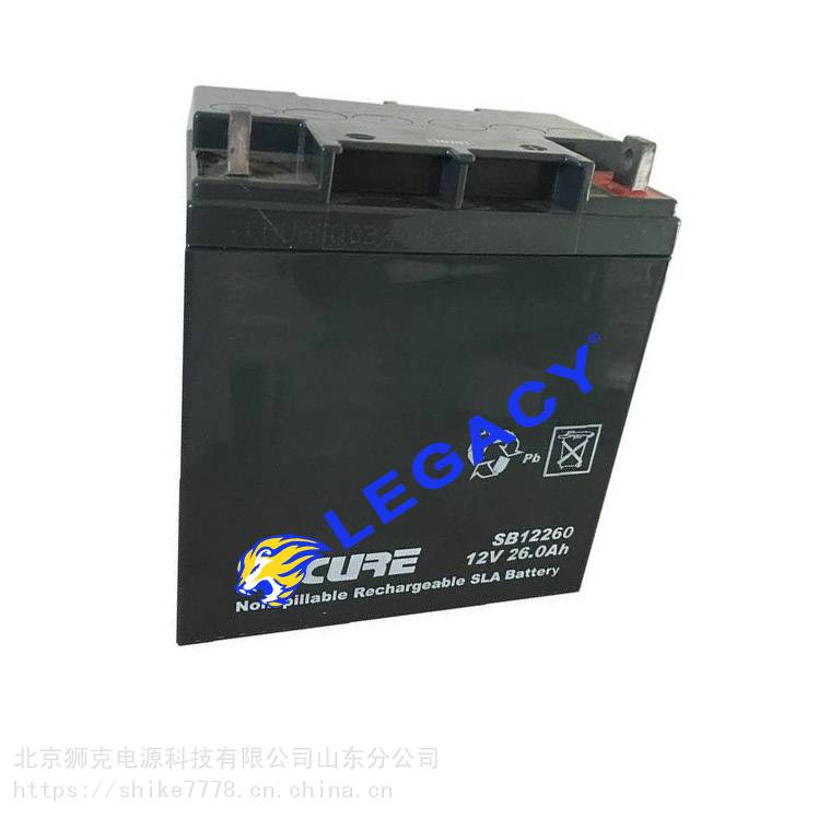 SECURE蓄电池SB1226012V26AH储能铅酸免维护UPS专用