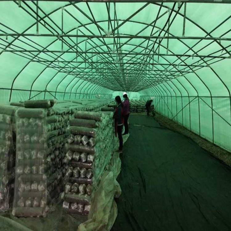 河南艾普斯厂家直销大棚香菇专用膜食用菌专用绿白膜厂家现货