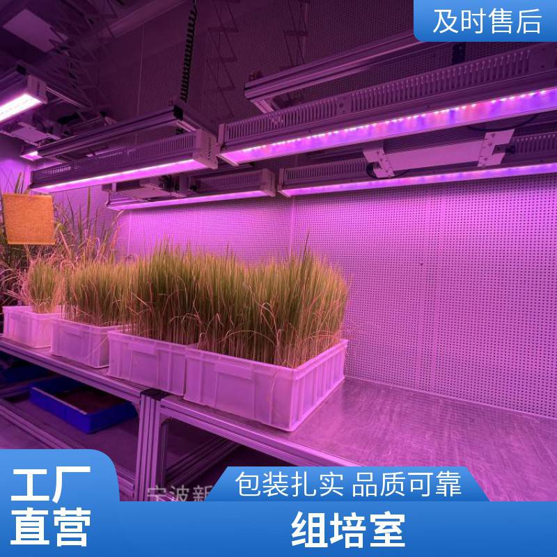 人工气候室新励仪器水稻玉米拟南芥植物生长室环境模拟