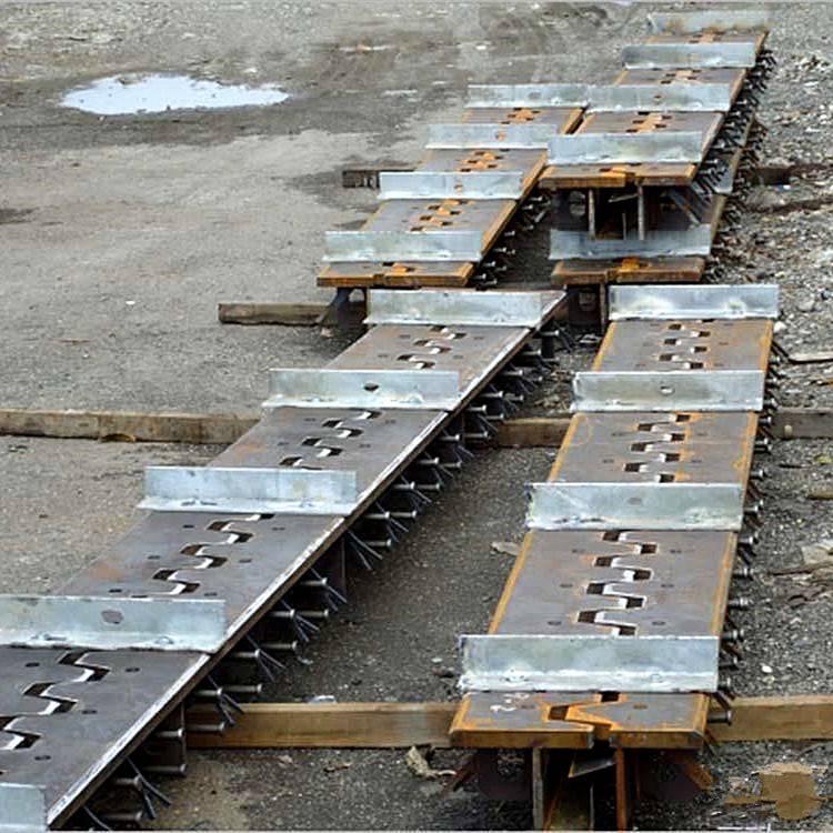 保山市e型钢桥梁伸缩缝陆韵产品行业佼佼者