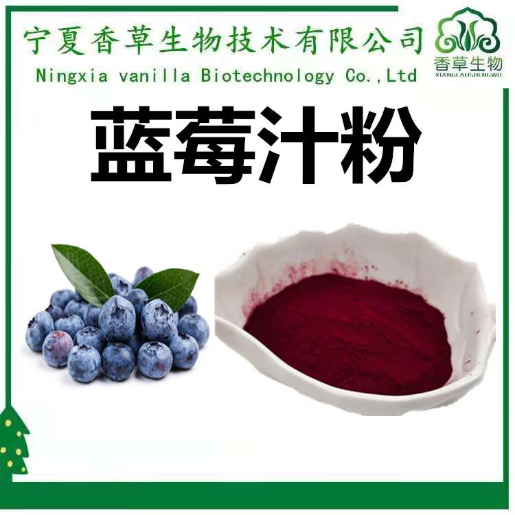 蓝莓汁粉蓝莓粉100目蓝莓果粉蓝莓浓缩汁粉