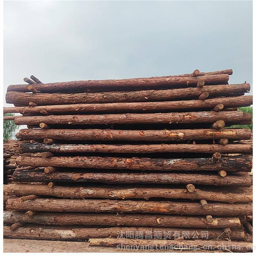 东北丹东绿化工程防护植树杆 3米松木杨木杆
