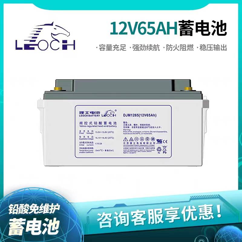 理士12V65AH铅酸免维护DJM1265S蓄电池直流屏UPS应急通信电源